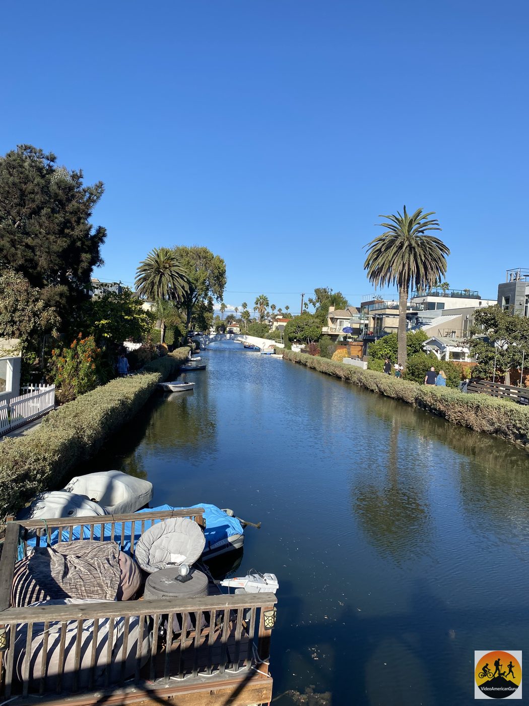 A quiet Venice Canal reflecting palm trees and waterfront homes