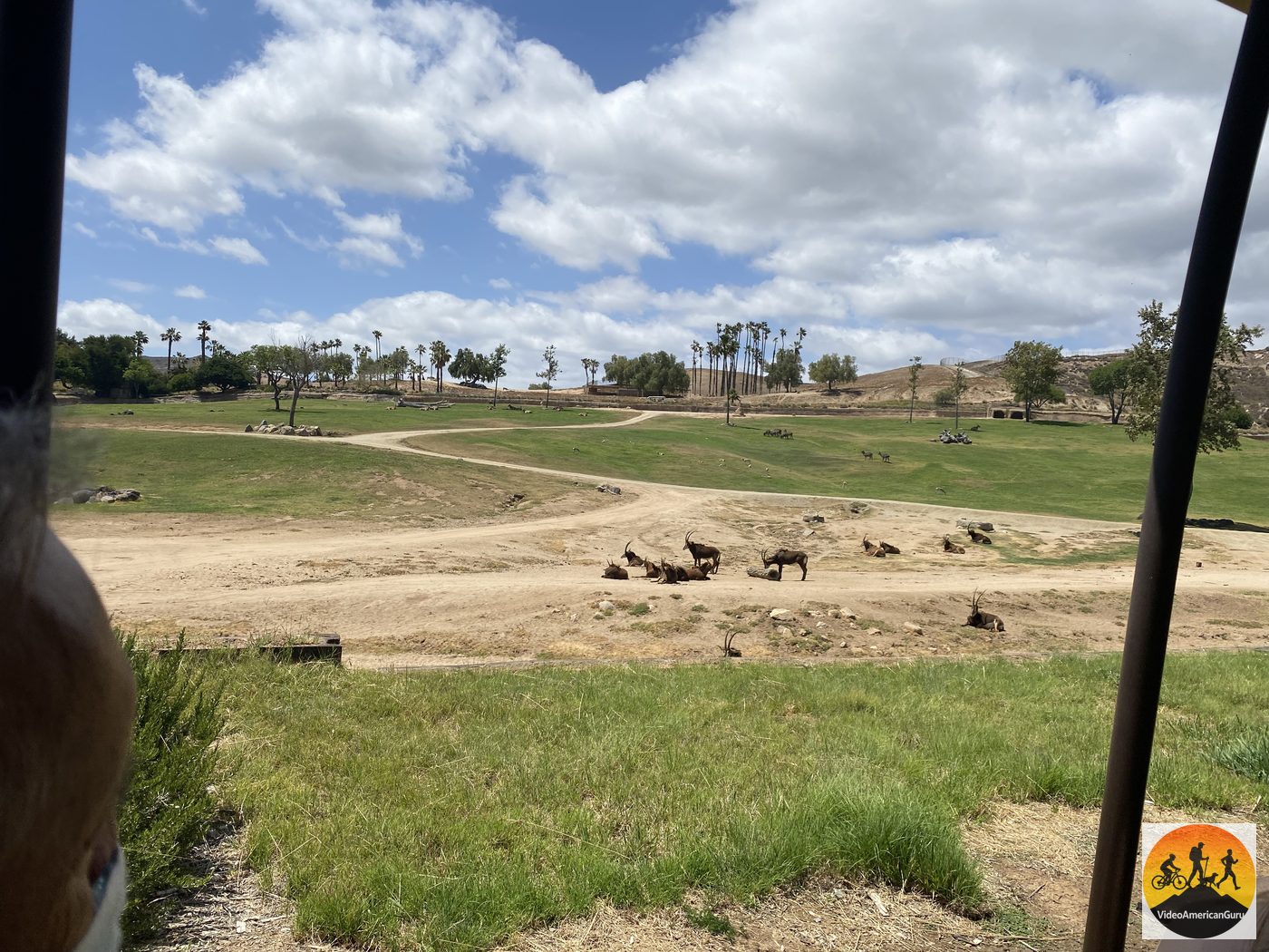 Open savanna habitat with animal herds in the distance, seen from the Africa Tram at the San Diego Zoo Safari Park